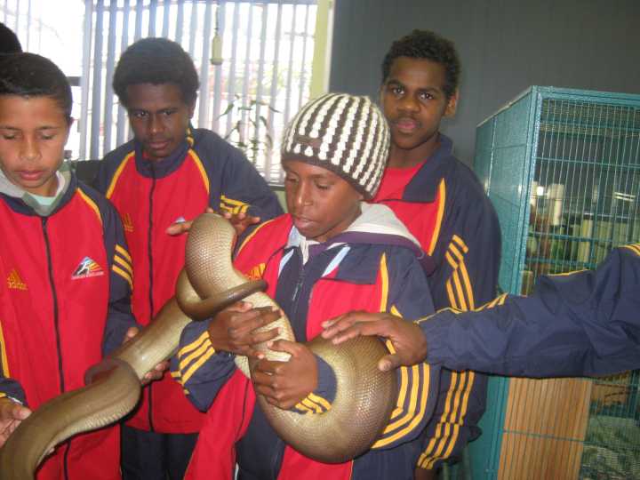 Djarragun