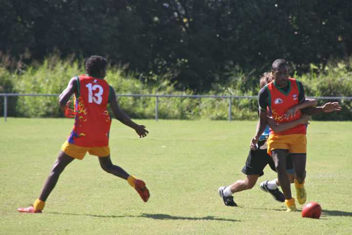 Djarragun
