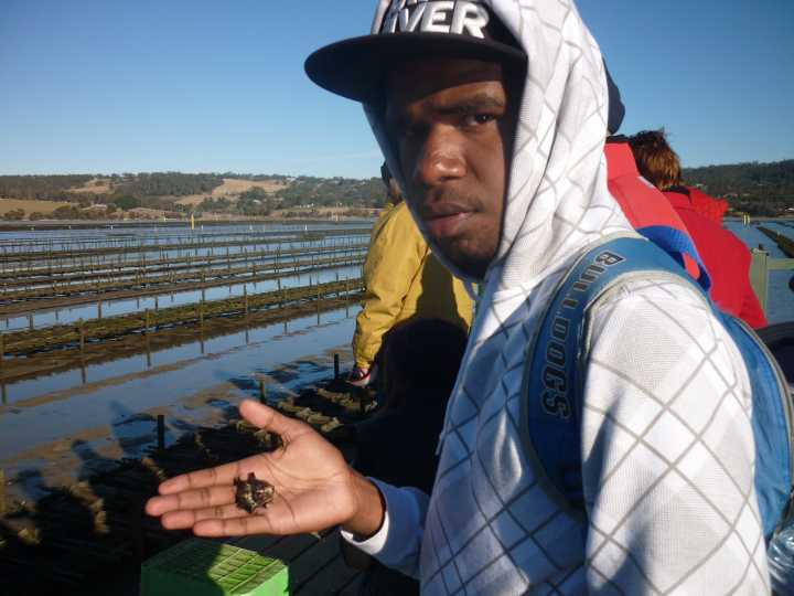 Djarragun