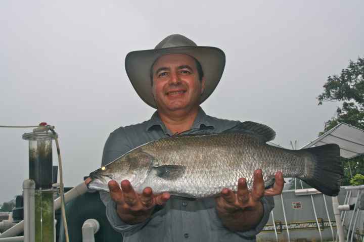 Djarragun