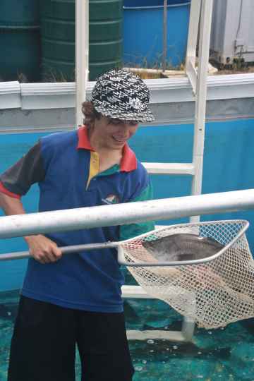 Djarragun