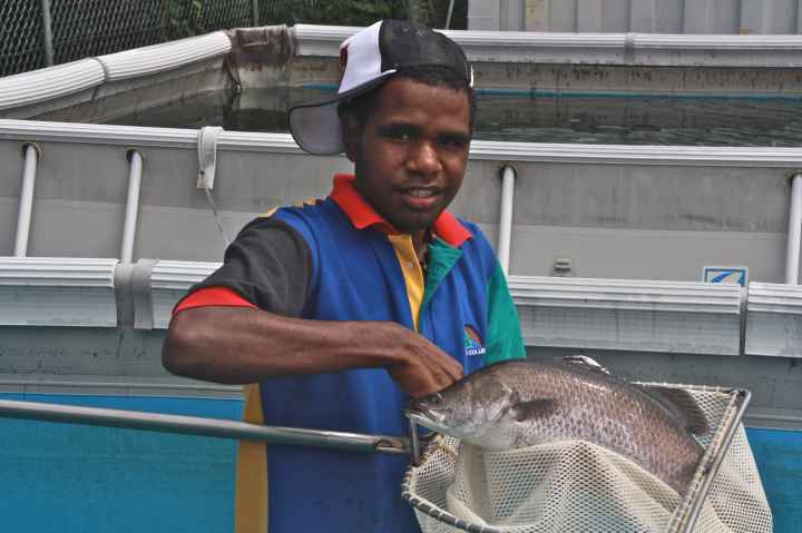 Djarragun