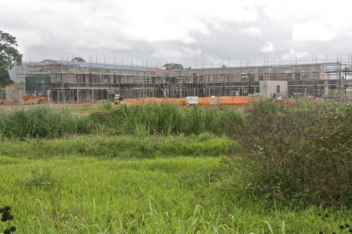 Djarragun
