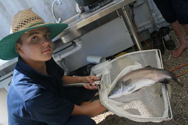 Djarragun