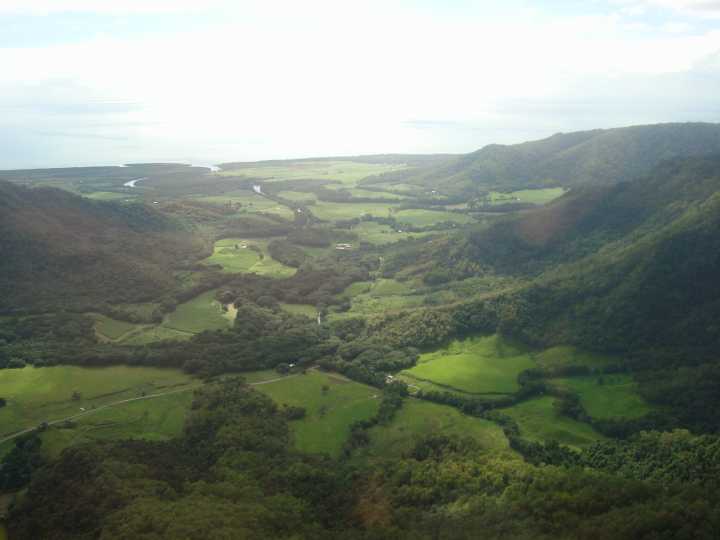 Djarragun