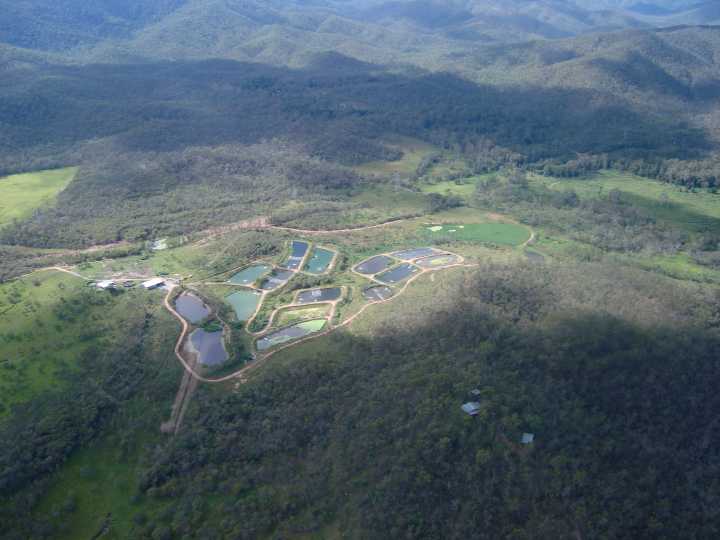Djarragun