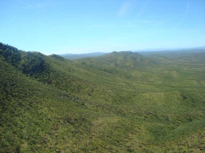 Djarragun