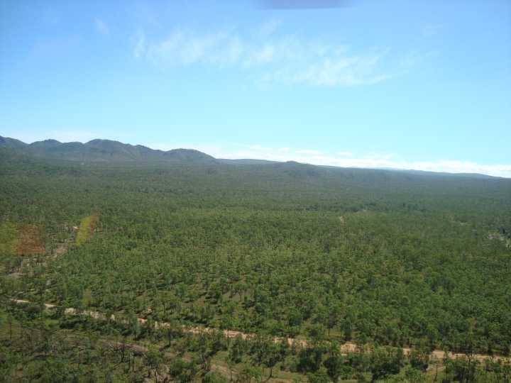 Djarragun