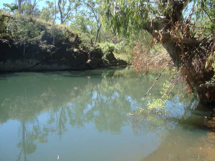 Djarragun