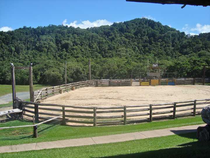Djarragun