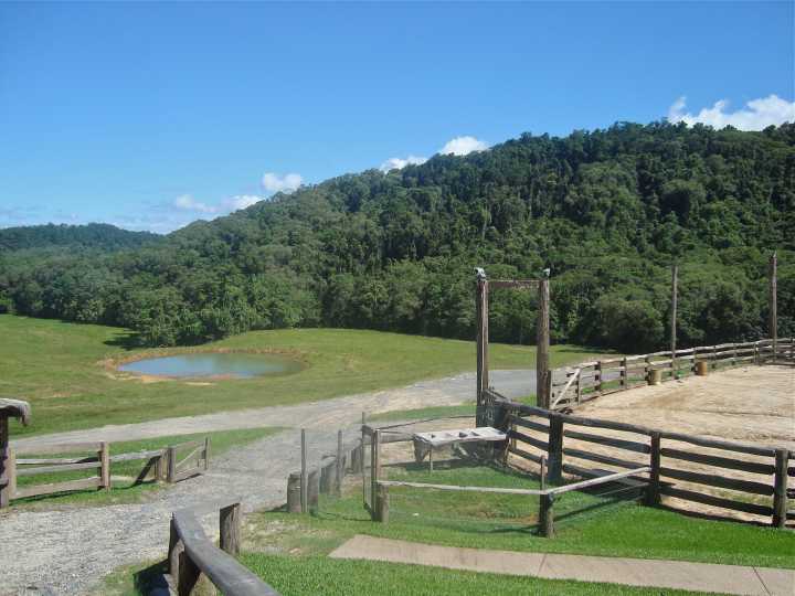 Djarragun