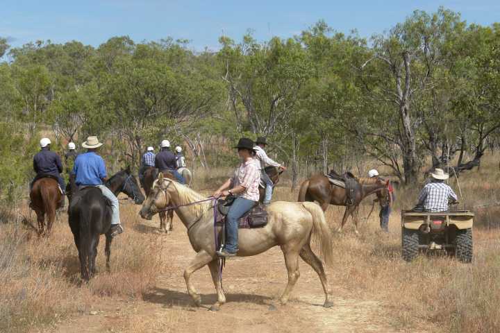 Djarragun