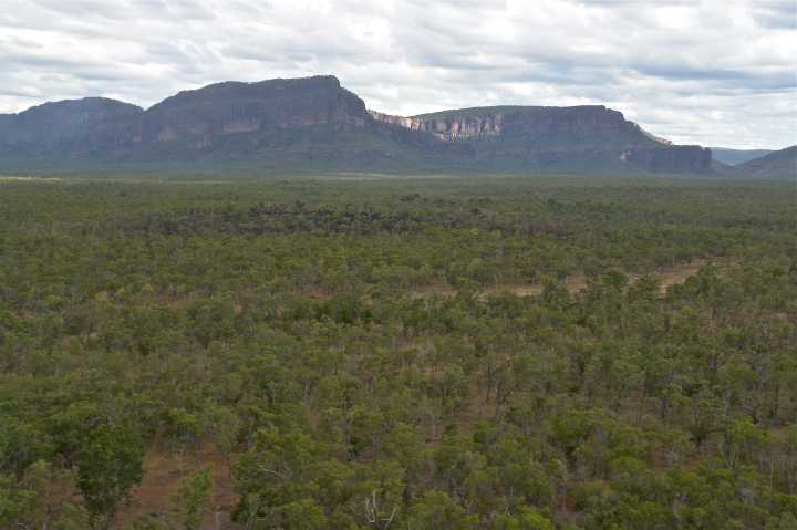 Djarragun