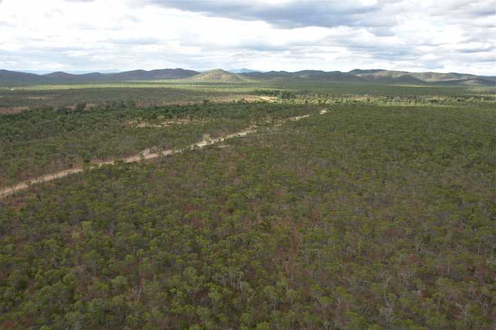 Djarragun