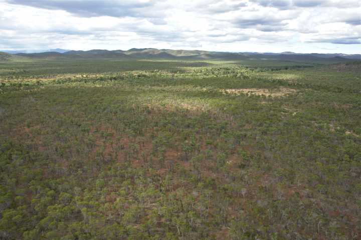 Djarragun