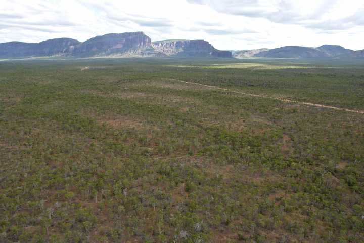 Djarragun
