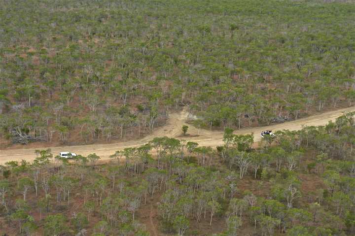 Djarragun