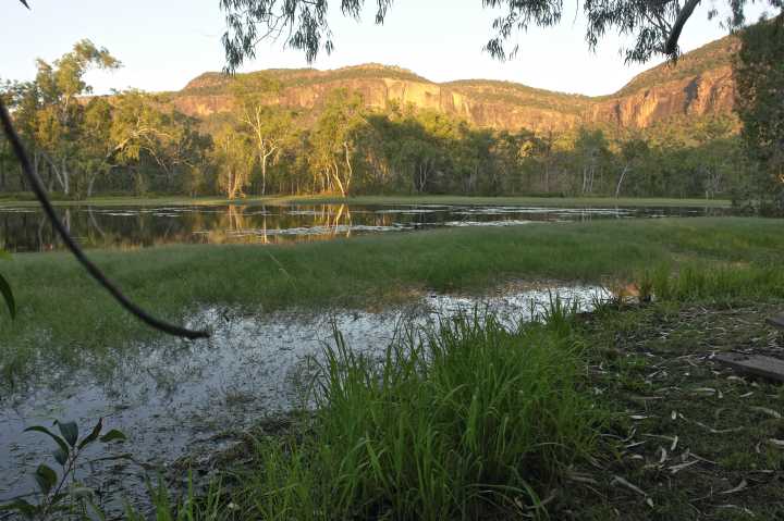Djarragun
