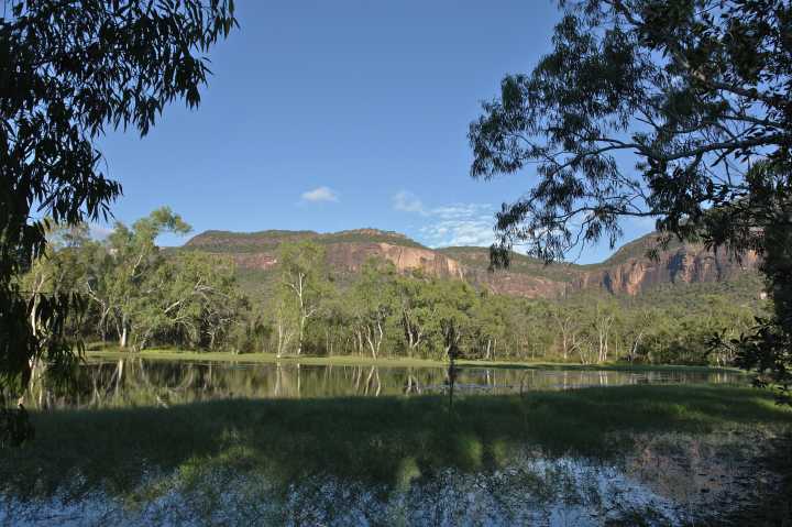 Djarragun
