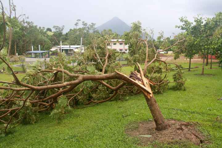 Djarragun