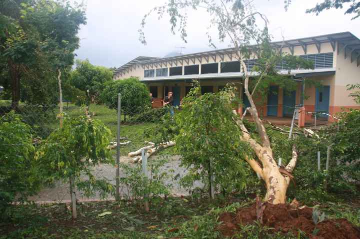Djarragun