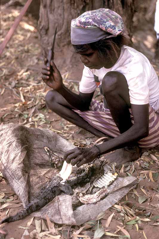 Butchering a crocodile