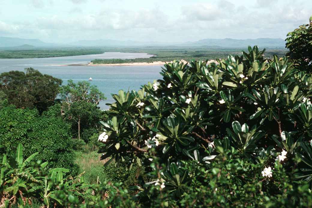 Endeavour River from Grassy Hill