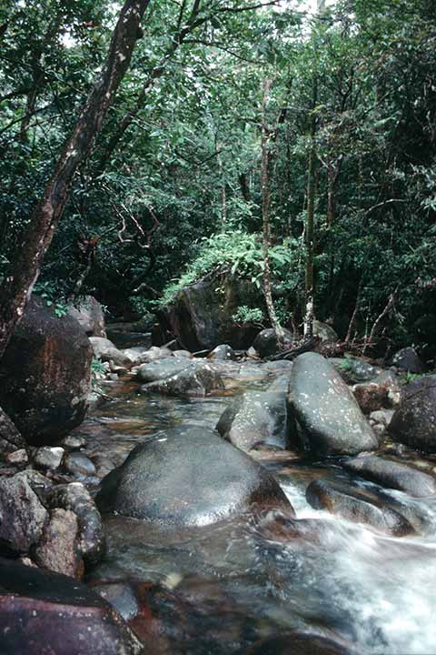 Little Cooper River