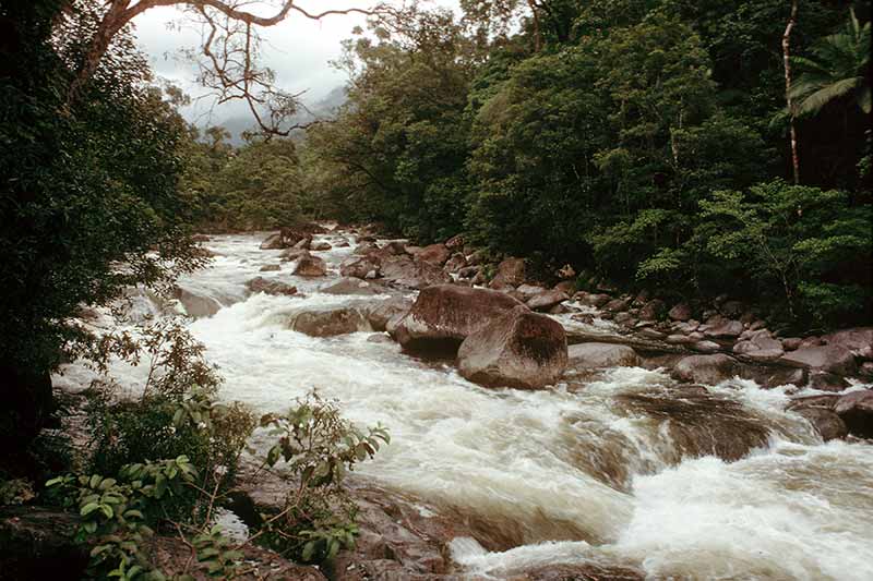 Mossman Gorge