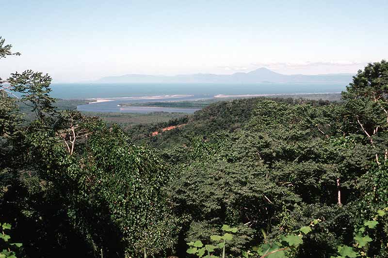 View to Daintree River