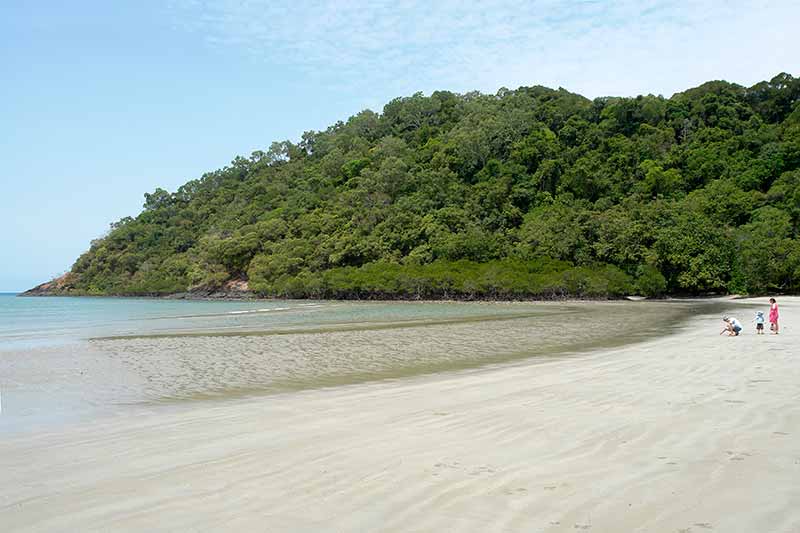 Cape Tribulation