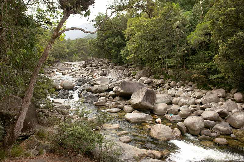 Mossman Gorge in the dry