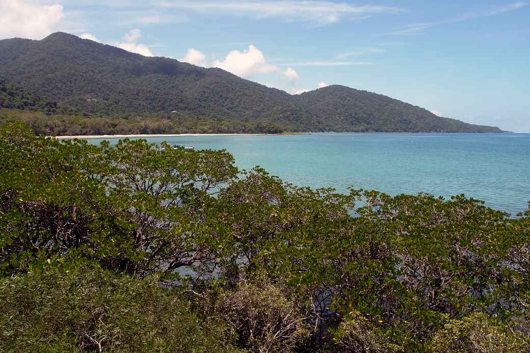 Cape Tribulation view