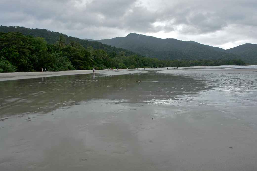 Beach at Cape Tribulation