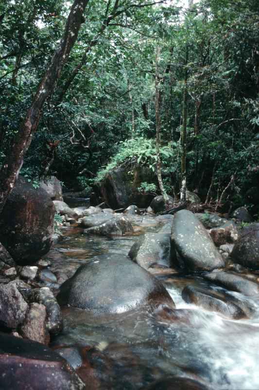 Little Cooper River