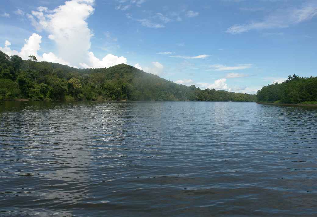 Daintree River