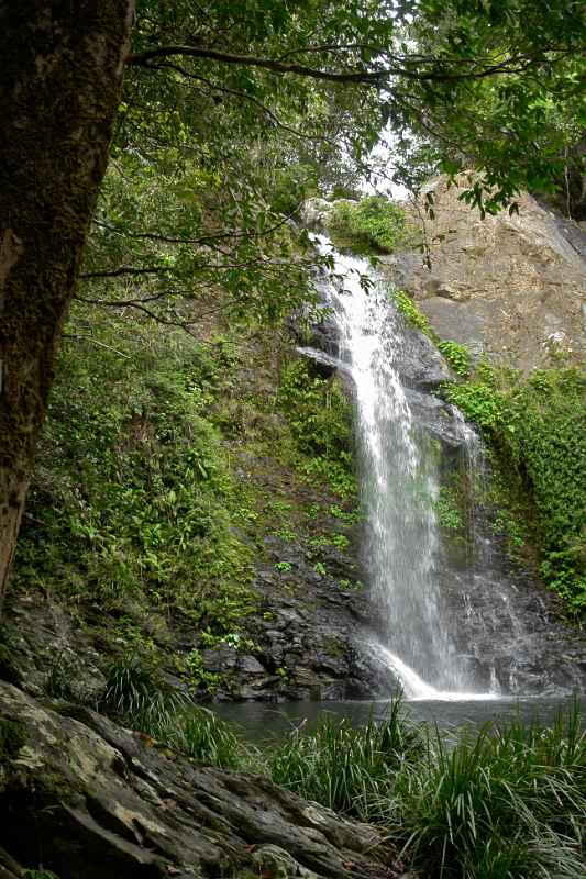 Cassowary Falls