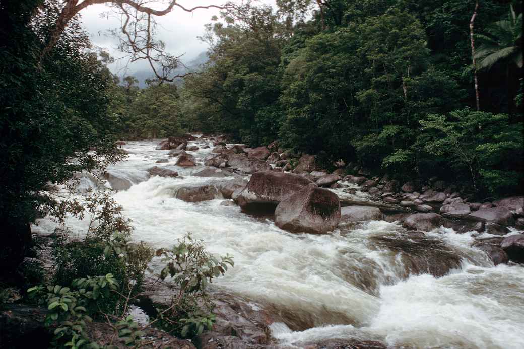 Mossman Gorge