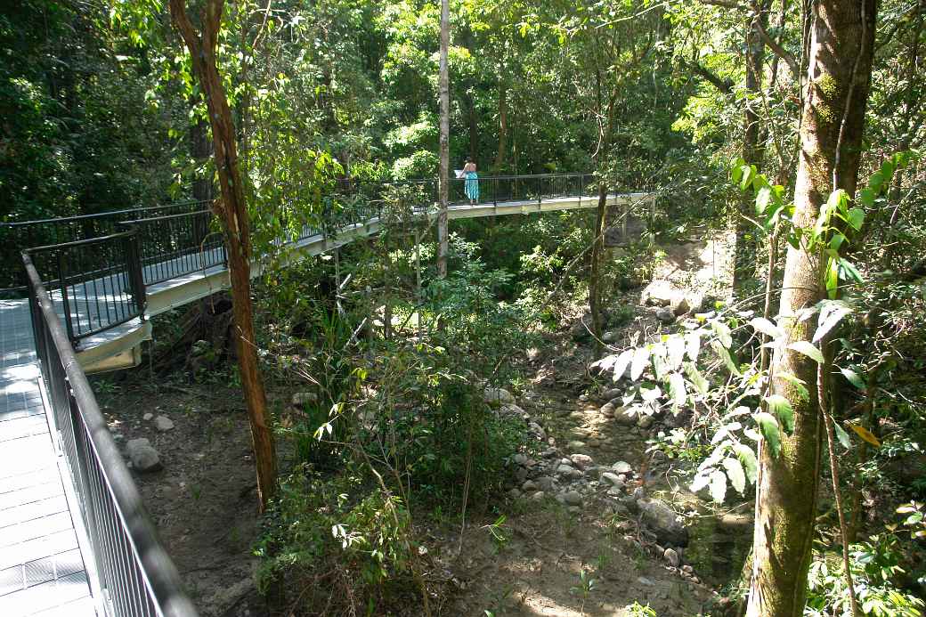 Boardwalk, Mossman Gorge