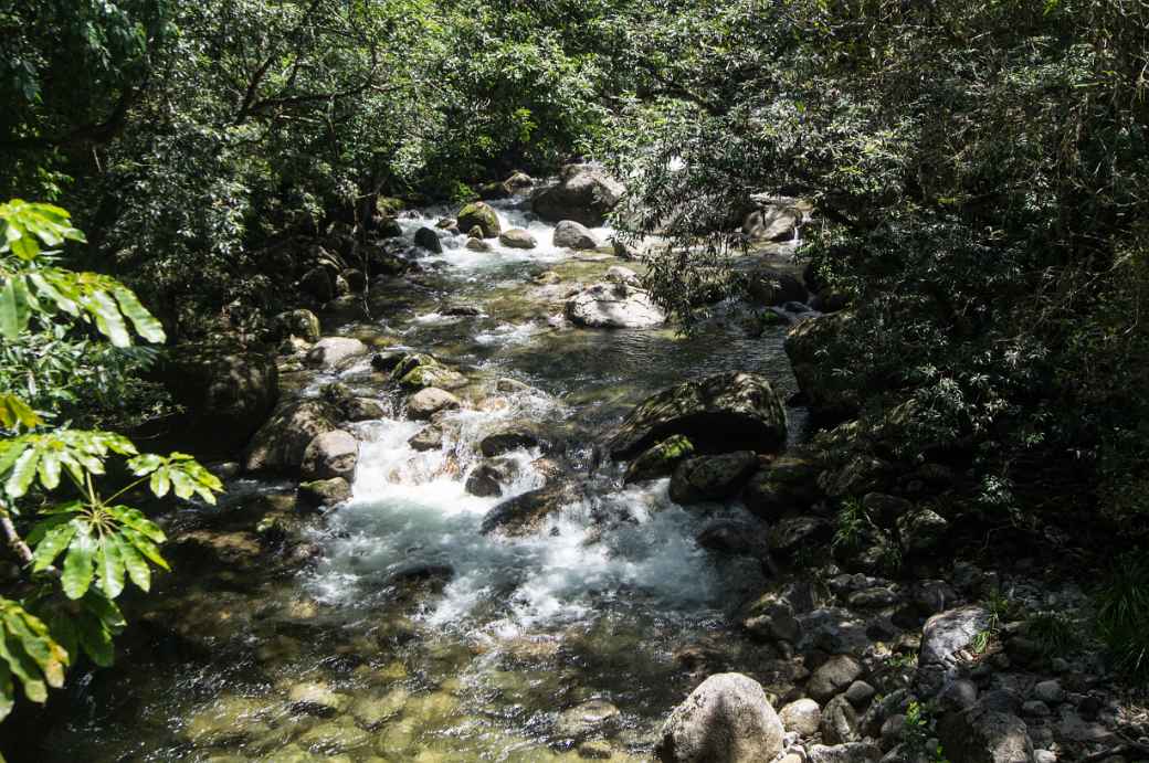 Rex Creek, Mossman Gorge