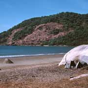 Walker Bay