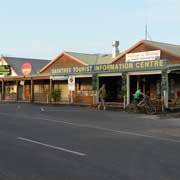 Daintree
