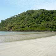 Cape Tribulation