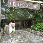 Lions Den Hotel