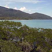 Cape Tribulation view