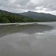 Beach at Cape Tribulation