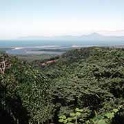 View to Daintree River