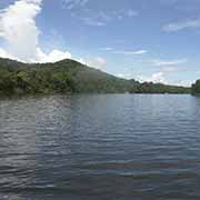 Daintree River