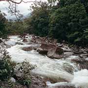 Mossman Gorge