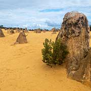 Pinnacles Desert National Park